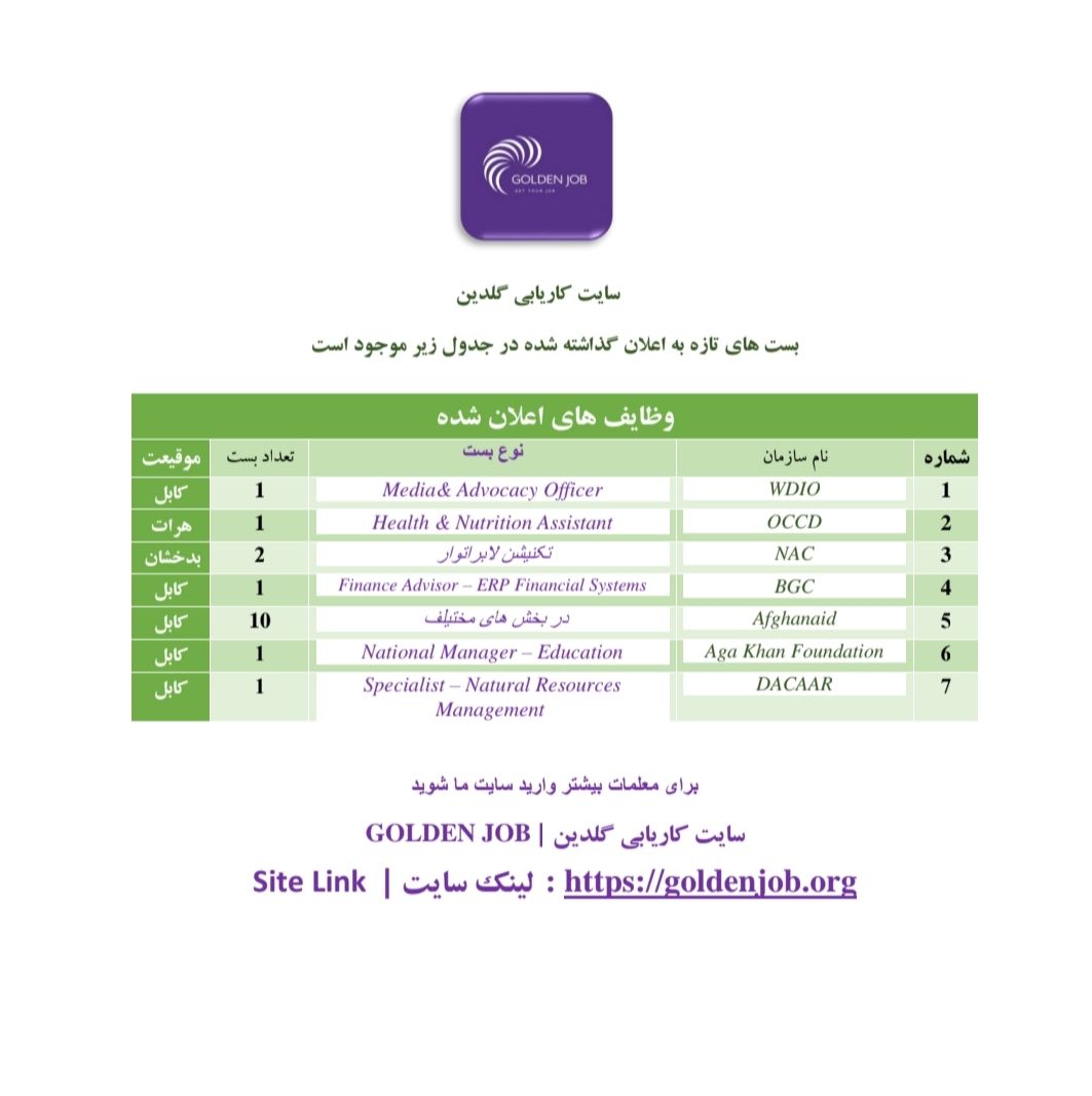 بست های دولتی و غیر دولتی