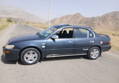 ea03d58e-8d72-47f7-b73e-308b6683dd4e