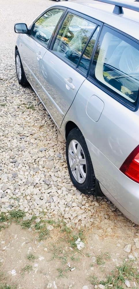 فلدر جرمنی 2005نیمه اپشن