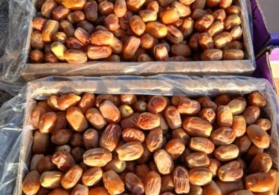 a189fd45-afc8-41ca-80e3-0404361ba20f