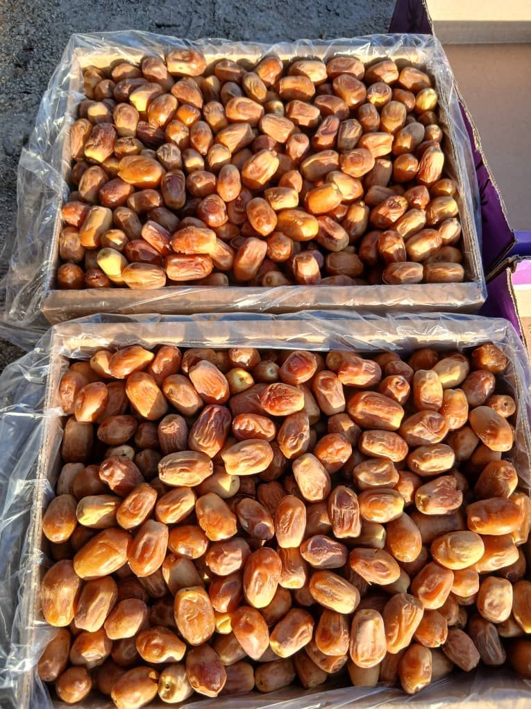 خرما درجه اول ایرانی