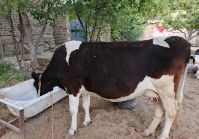 b0f134f4-a053-4378-ac6a-96fd61fbeb34