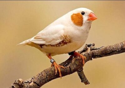 ca7f6992-77f0-46ff-af60-e6252808426f