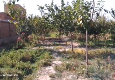 0962aafd-6183-4264-a09a-6b8657f08fed