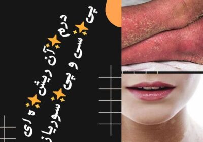 0bb6c70c-f84d-42b9-a727-b2a3a074d53d