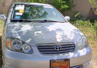 558b9a6d-44d5-486c-b046-d29112052f1f