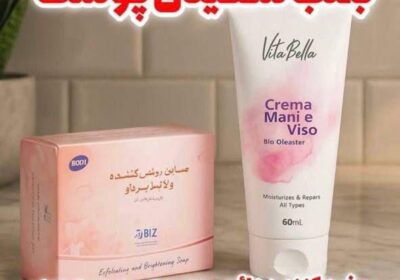 560130f1-14fe-4c8c-9055-7f1f919c94d9