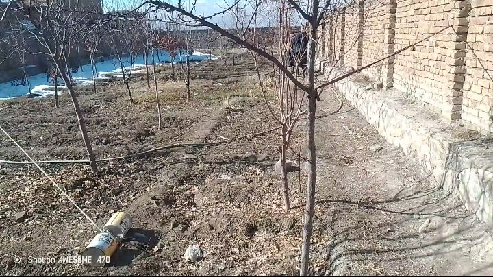 شش بسوه زمین فروشی