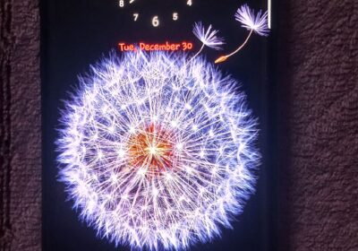 e8d03f28-19c6-4bcf-abef-294b244c5baa