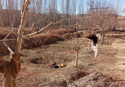 1f6b7d4b-3f41-42da-995e-d31ed6040ee1