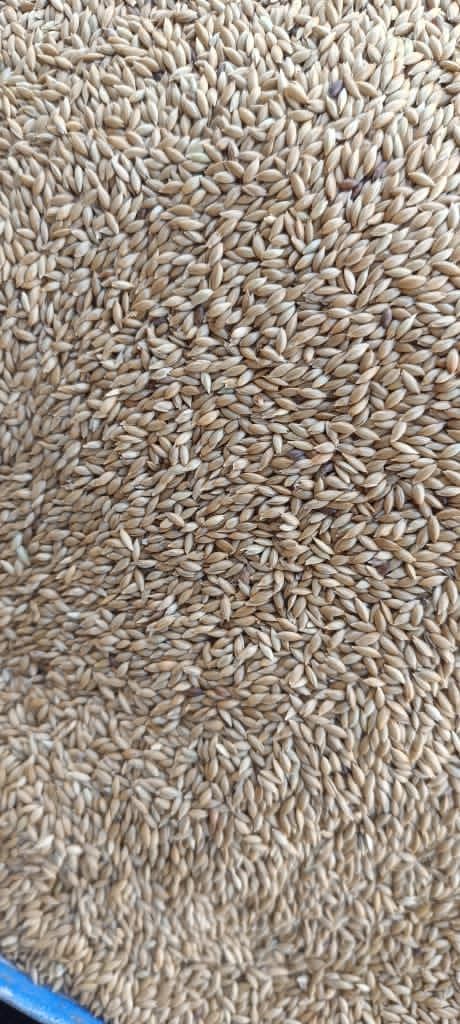 در تمام کشور صادر میکونم