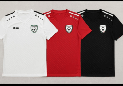 3e7087da-6c4a-4121-a6a1-4e06008c9cc7