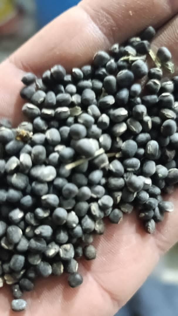 در تمام کشور صادر میکونم