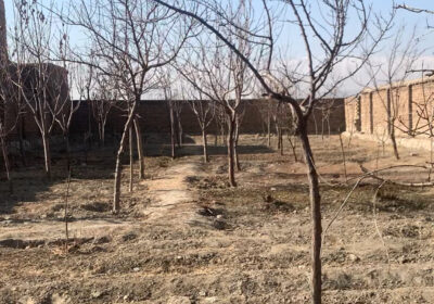 5699FC74-A610-4BDB-B3C5-4DF5F1D5E624