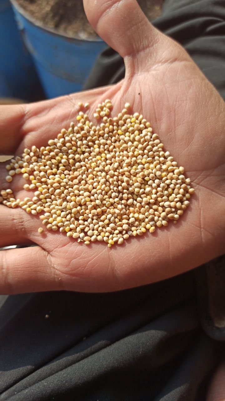 در تمام کشور صادر میکونم