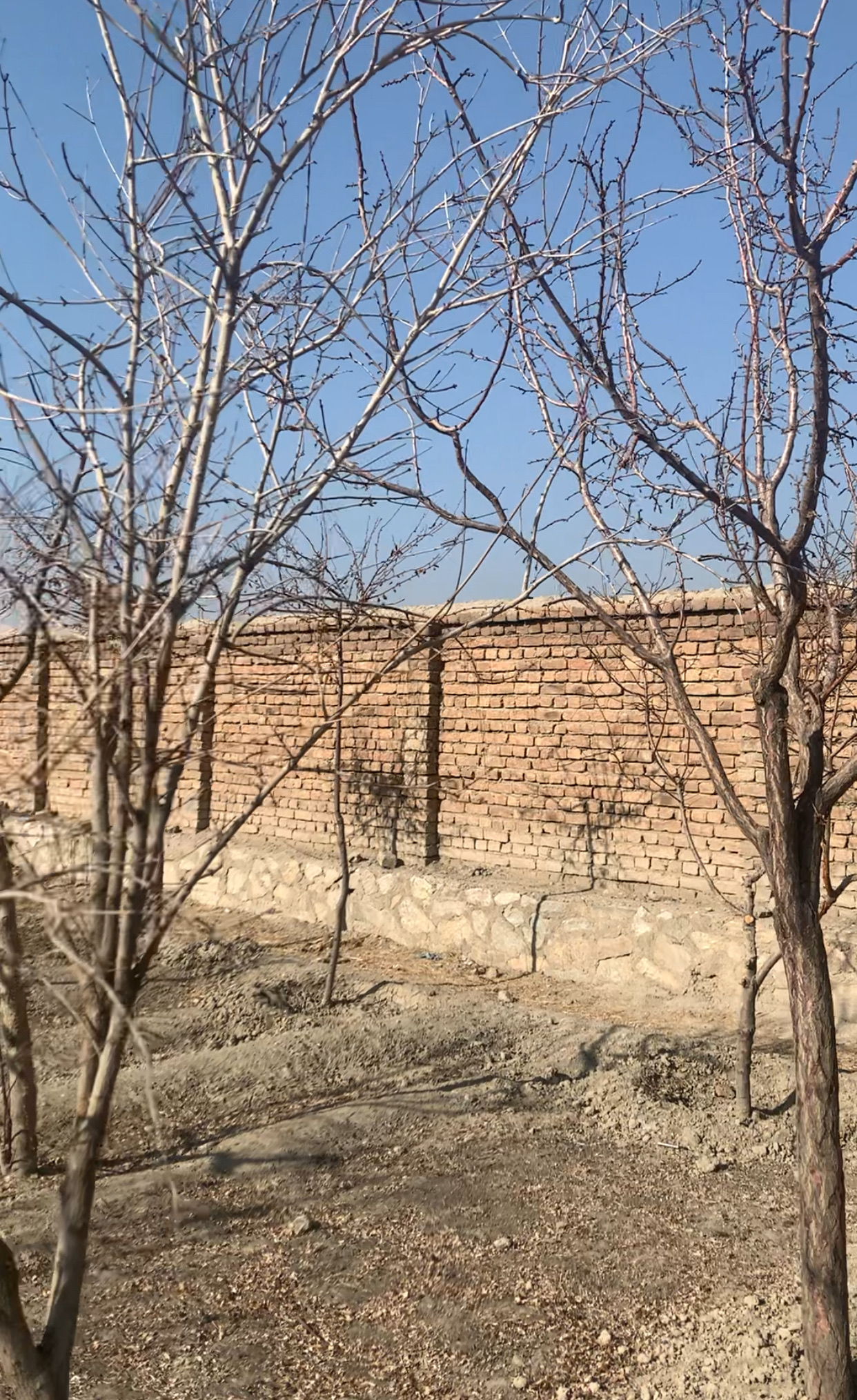 دو نمره زمین فرشی چهار دیواری شده واقع ده سبز شهرک