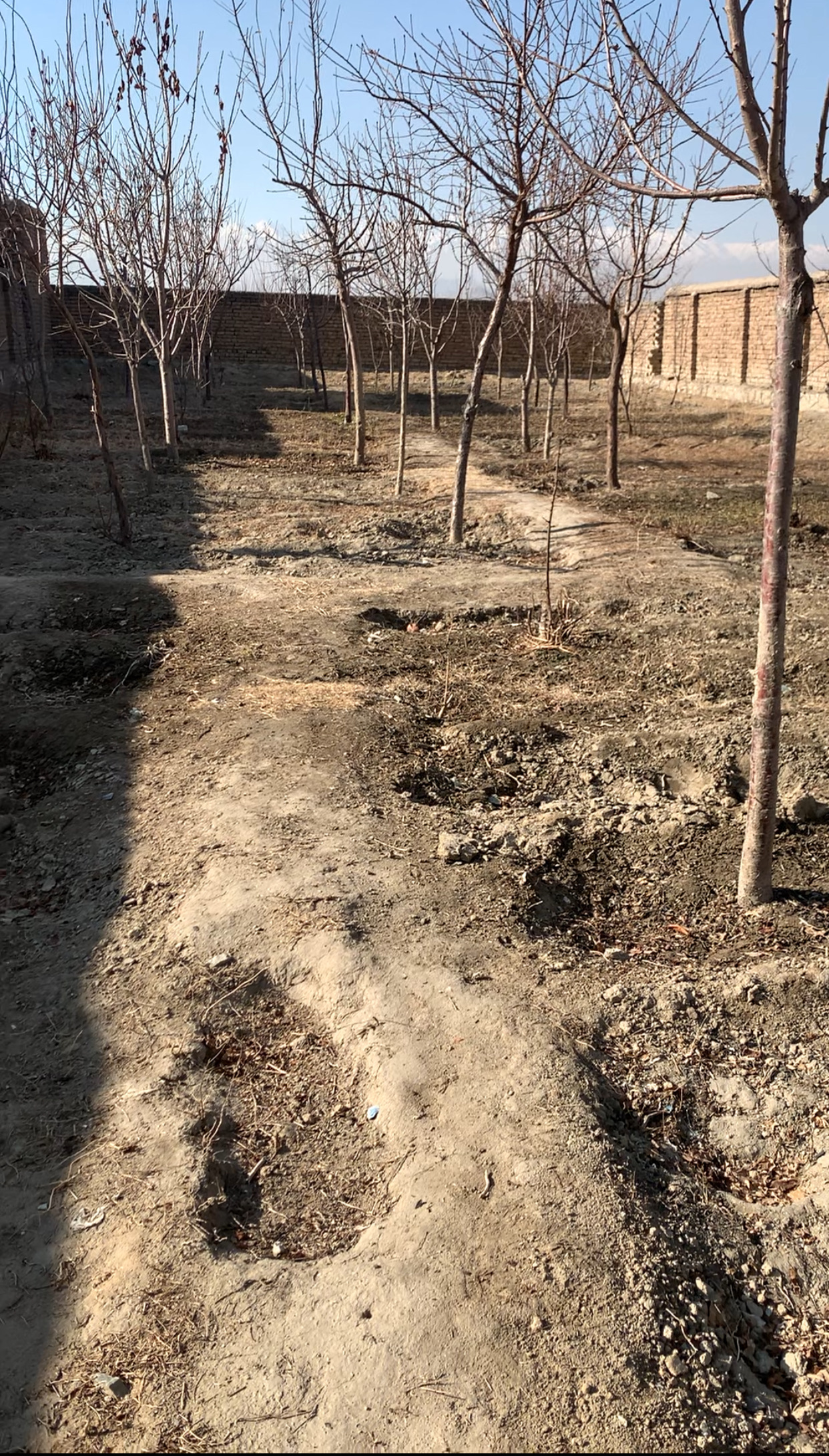 دو نمره زمین فرشی چهار دیواری شده واقع ده سبز شهرک