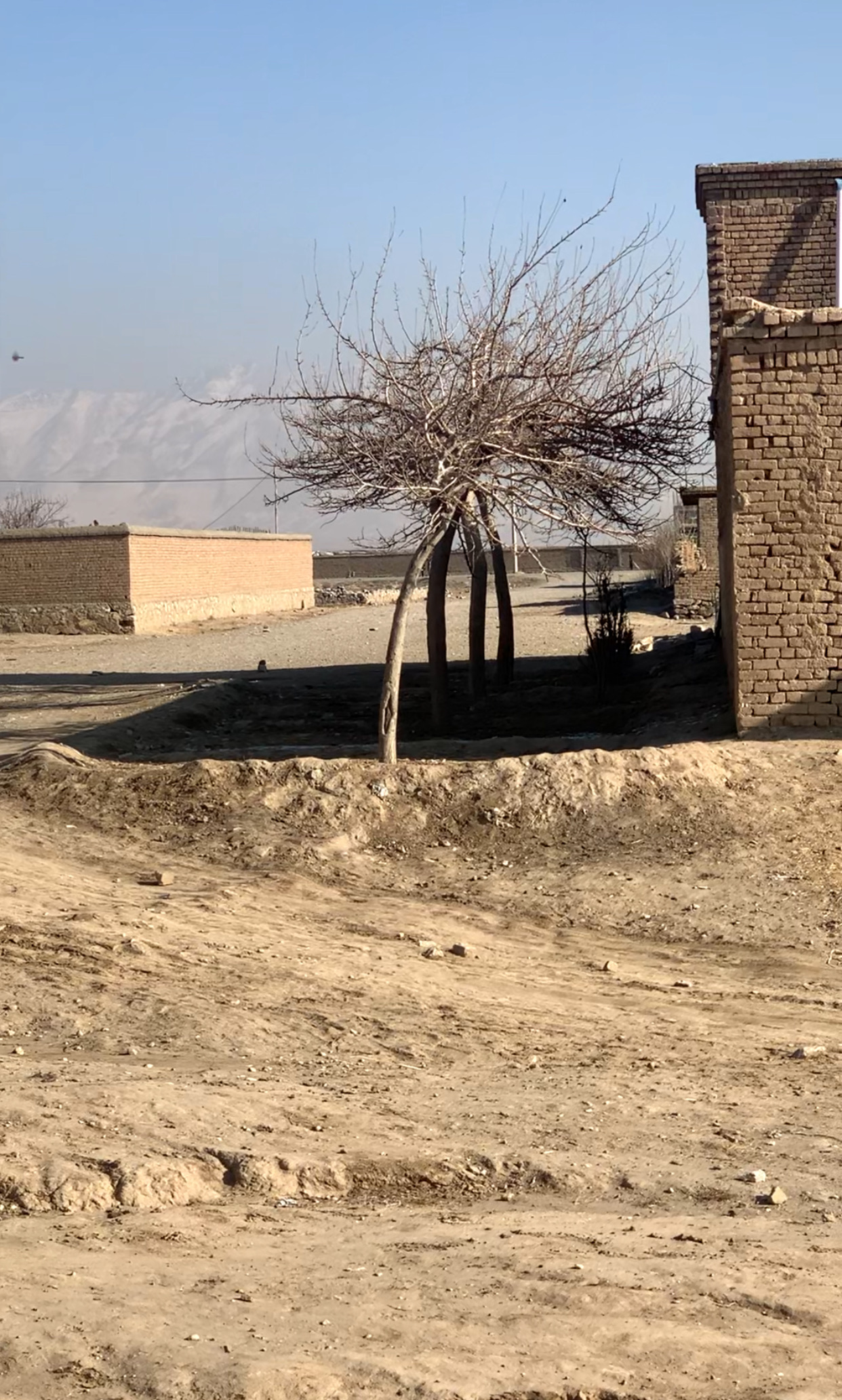 دو نمره زمین فرشی چهار دیواری شده واقع ده سبز شهرک