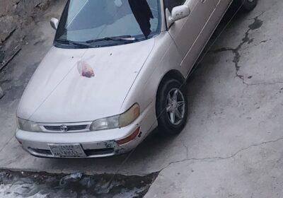 a154d3f2-bfa8-410d-8ba7-adfc4a114c7c