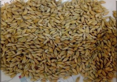 b0d88197-60ec-4da9-a2bc-27a13cf04396