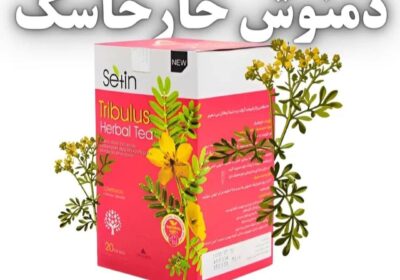 09c467ec-1050-4416-8323-adc4c01e217c