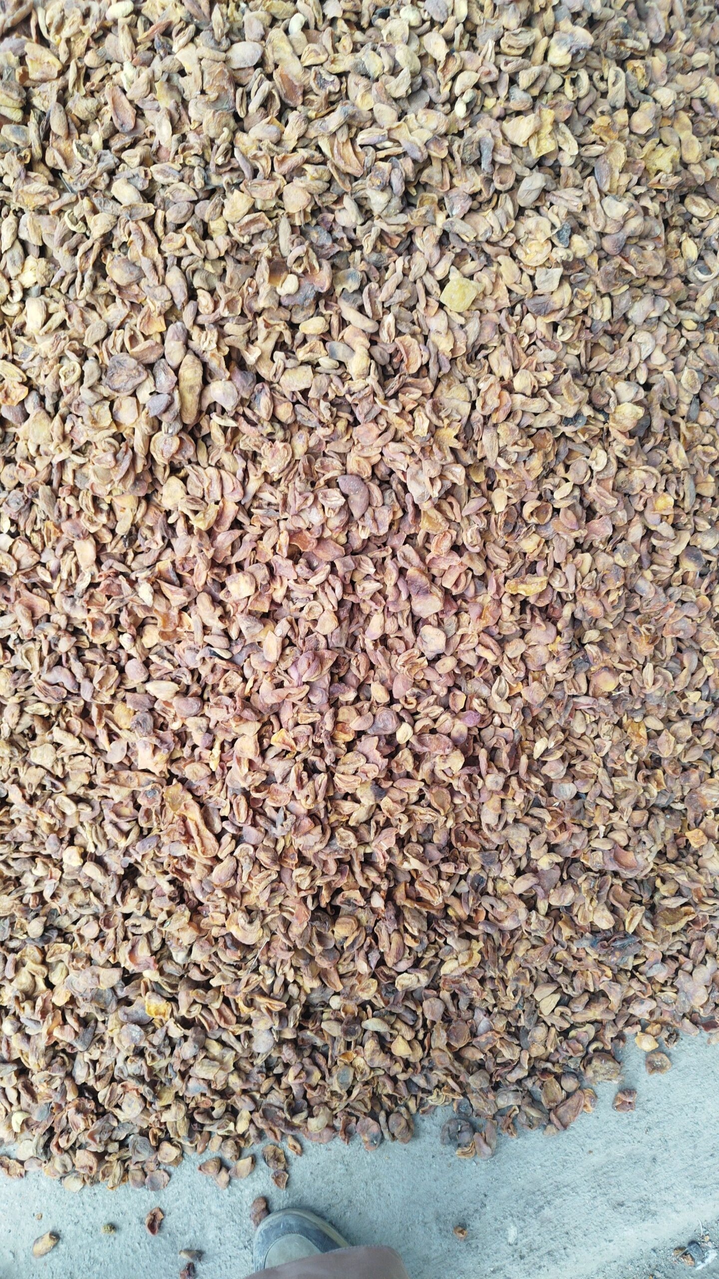 عمده فروشی قاری عبدالموقیم وفدامحمد