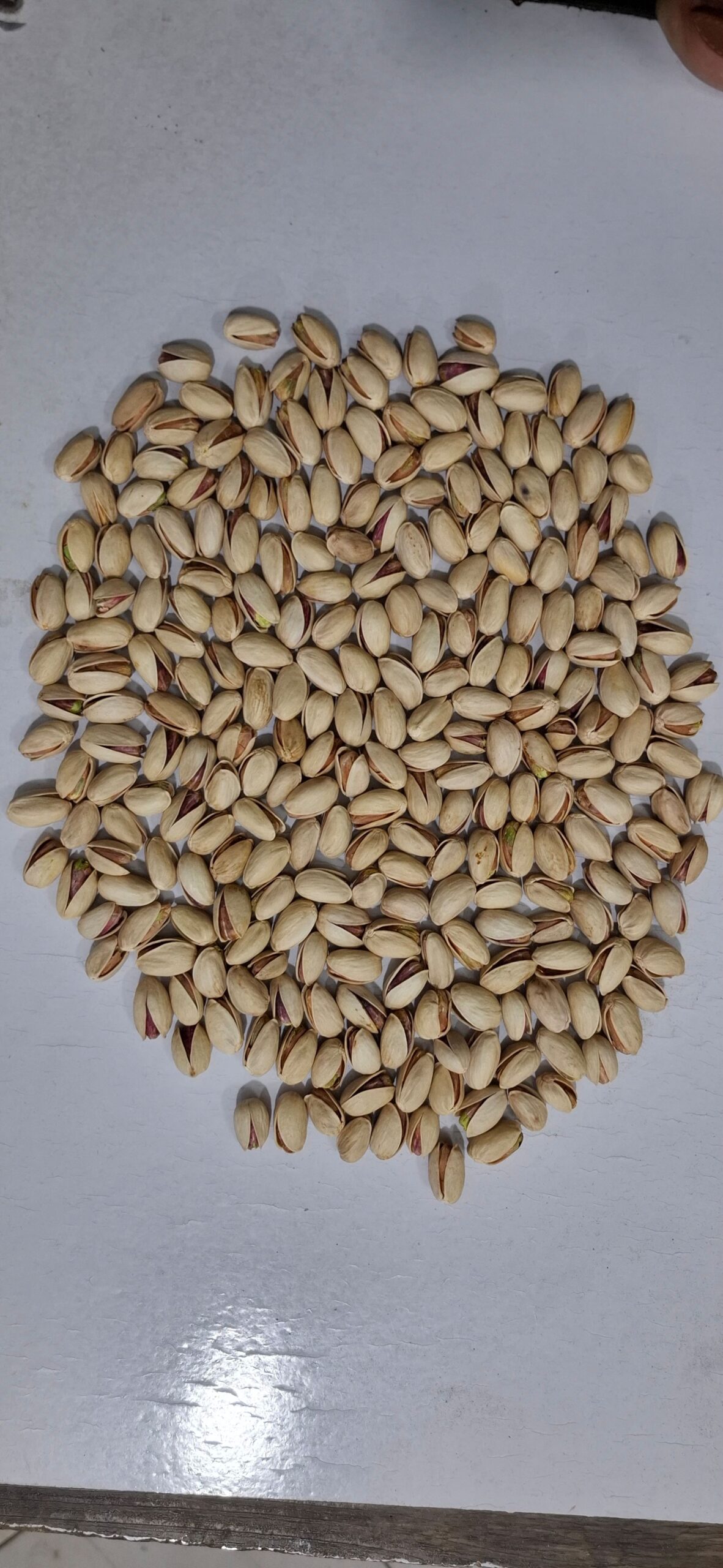 پسته و مغز پسته نمونه کرمان