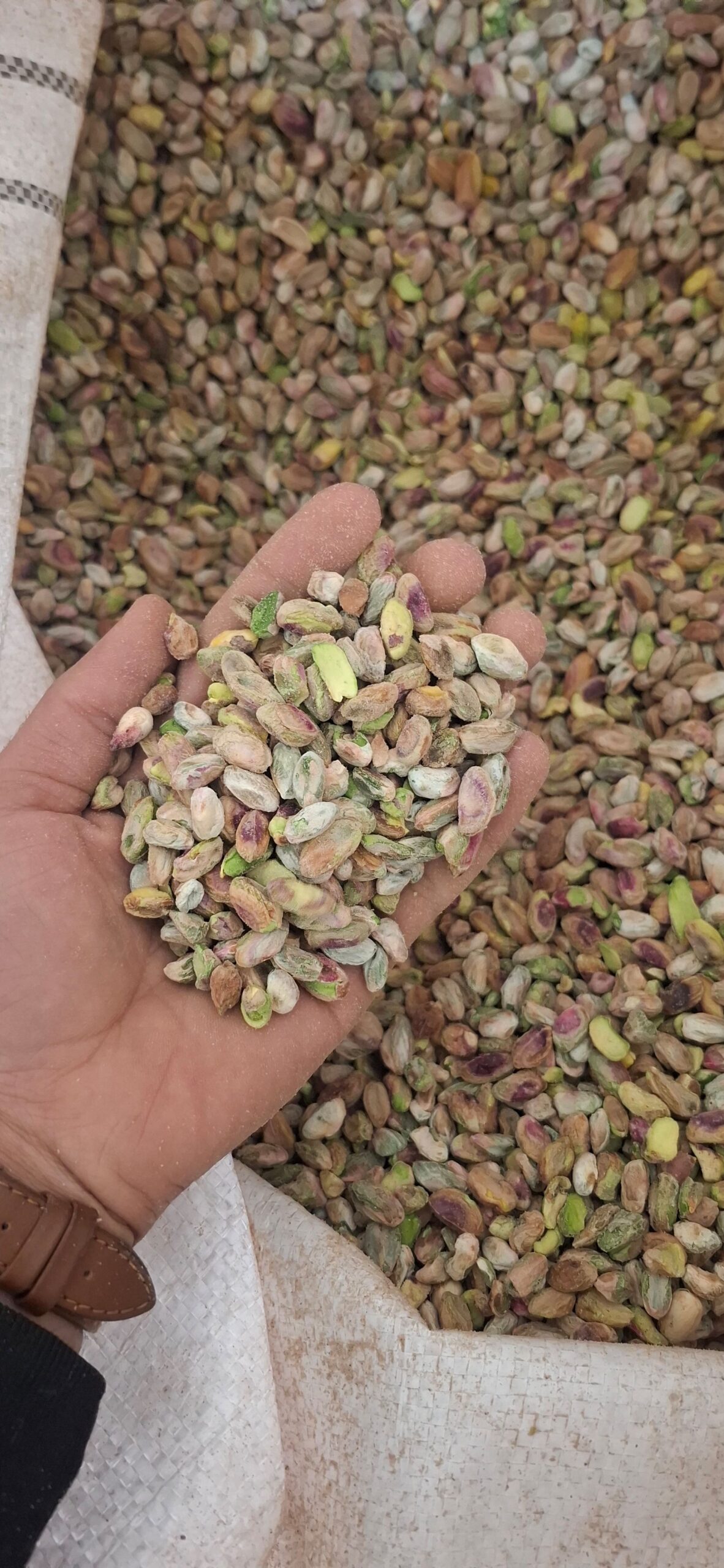 اعلام همکاری طولانی مدت برای واردات مغز پسته به اف