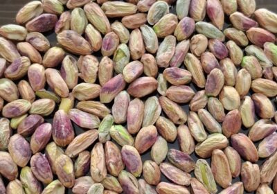 8d0acf3d-024d-48db-961f-6449bc17d57b