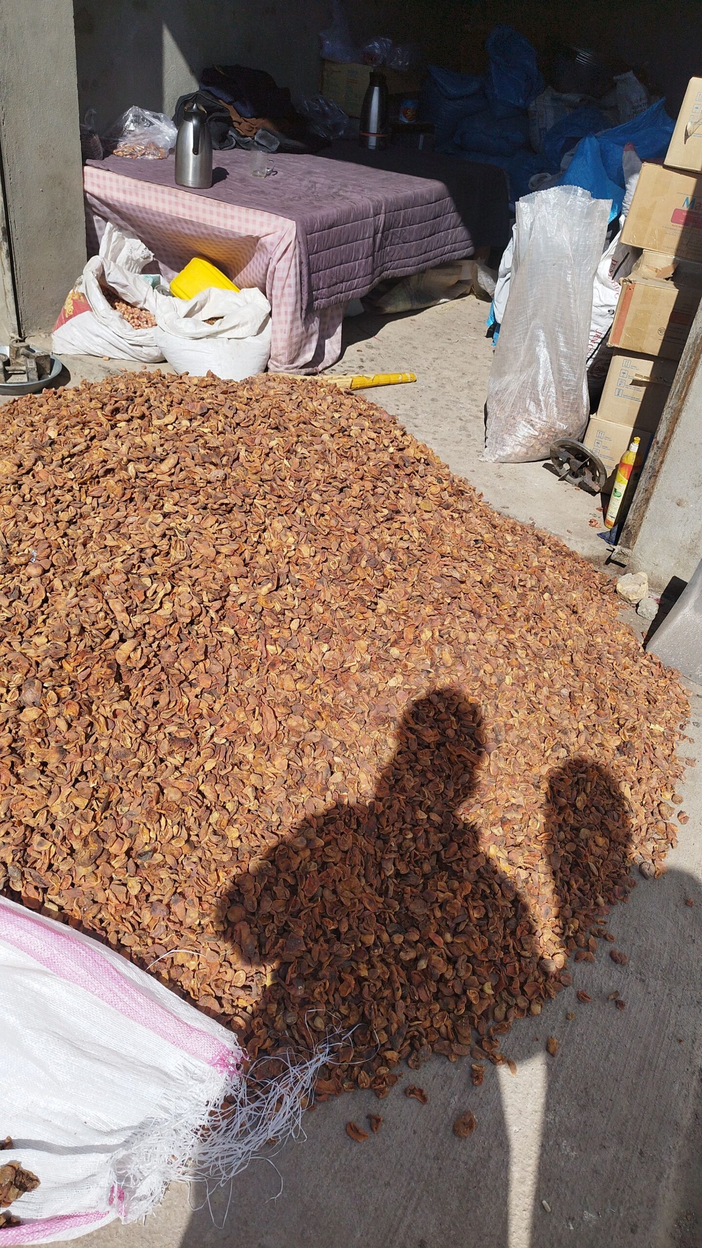 عمده فروشی قاری عبدالموقیم وفدامحمد