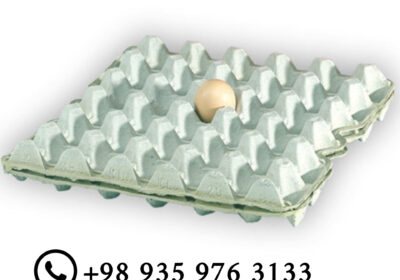 InShot_۲۰۲۶۰۲۱۷_۱۷۵۵۰۸۱۶۷-1