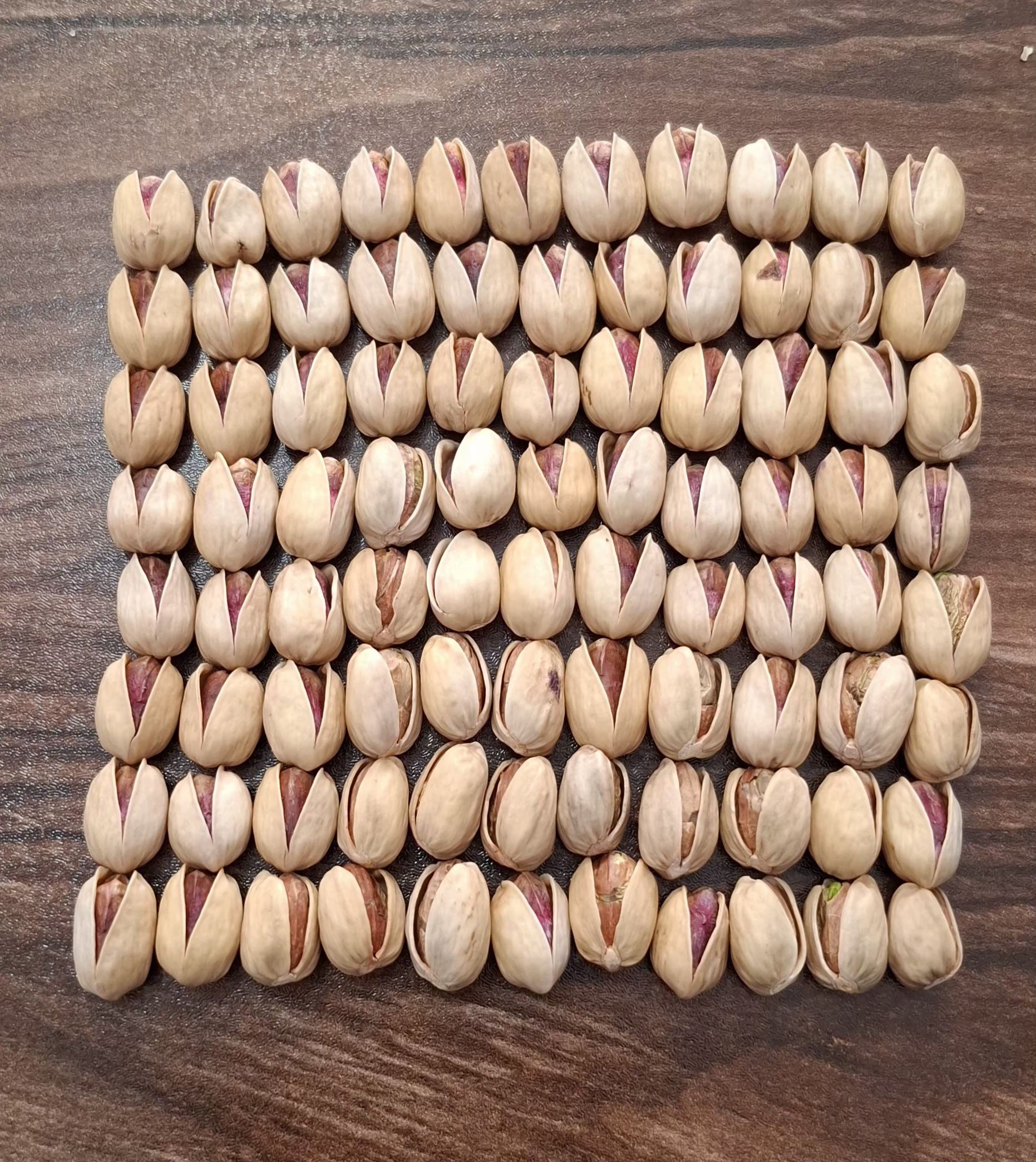 اعلام همکاری طولانی مدت برای واردات مغز پسته به اف