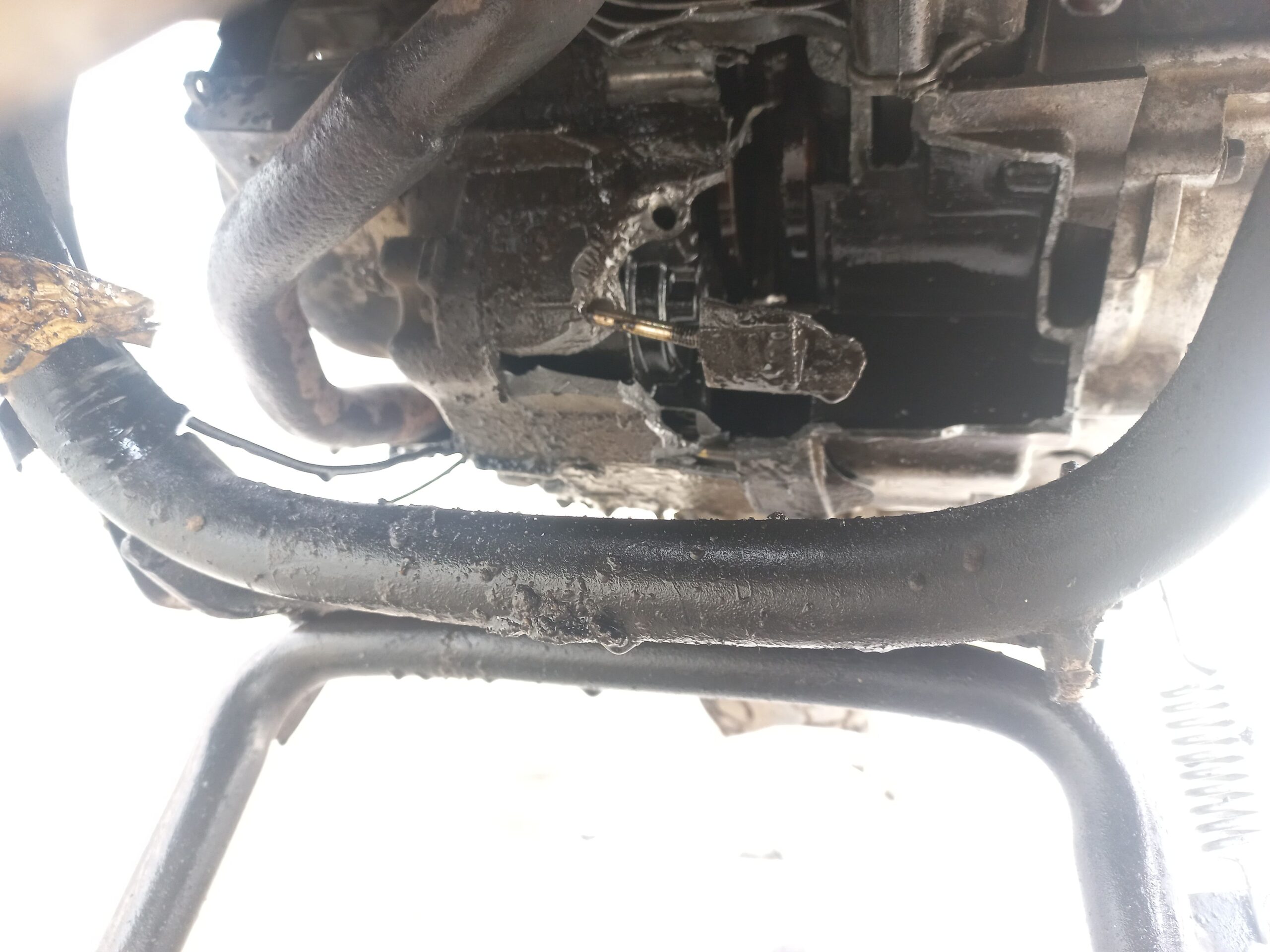 موترسایکل کوریایی فروشی