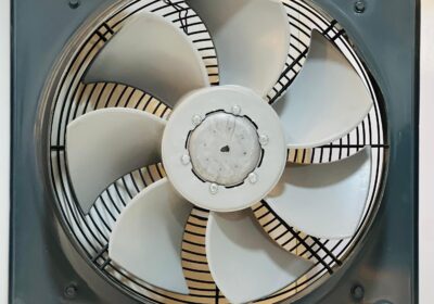 a666855f-caba-4ad6-884c-22c253cff2b5