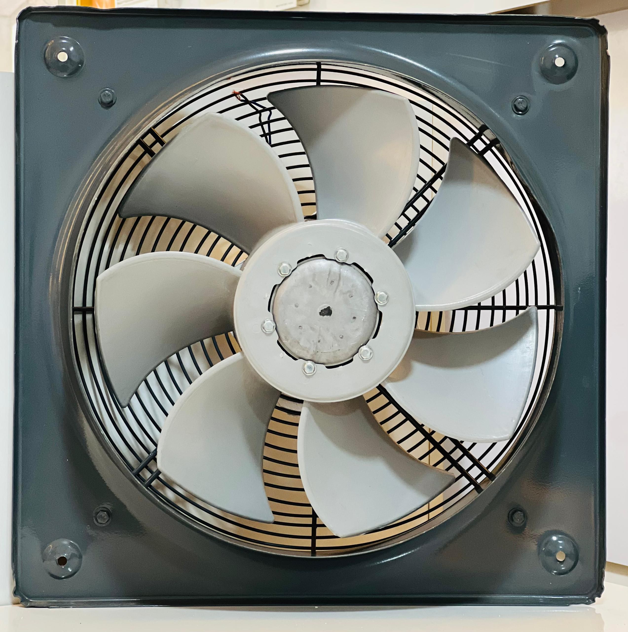 آدرس هرات : شهرنو مقابل پشتنی بانک مارکیت البلال آ