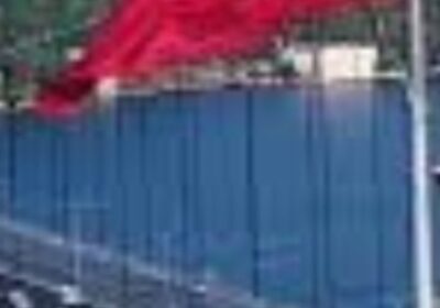 ca369341-2da3-4563-af4b-9c8c5616c384