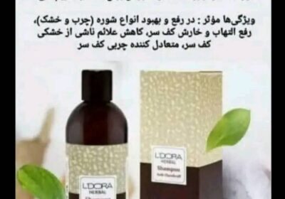 e6458e65-63ff-4b85-8f6e-82c288553356