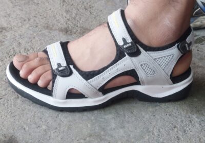 14d65f6b-24d8-4dc1-919d-c72a3fa0b965