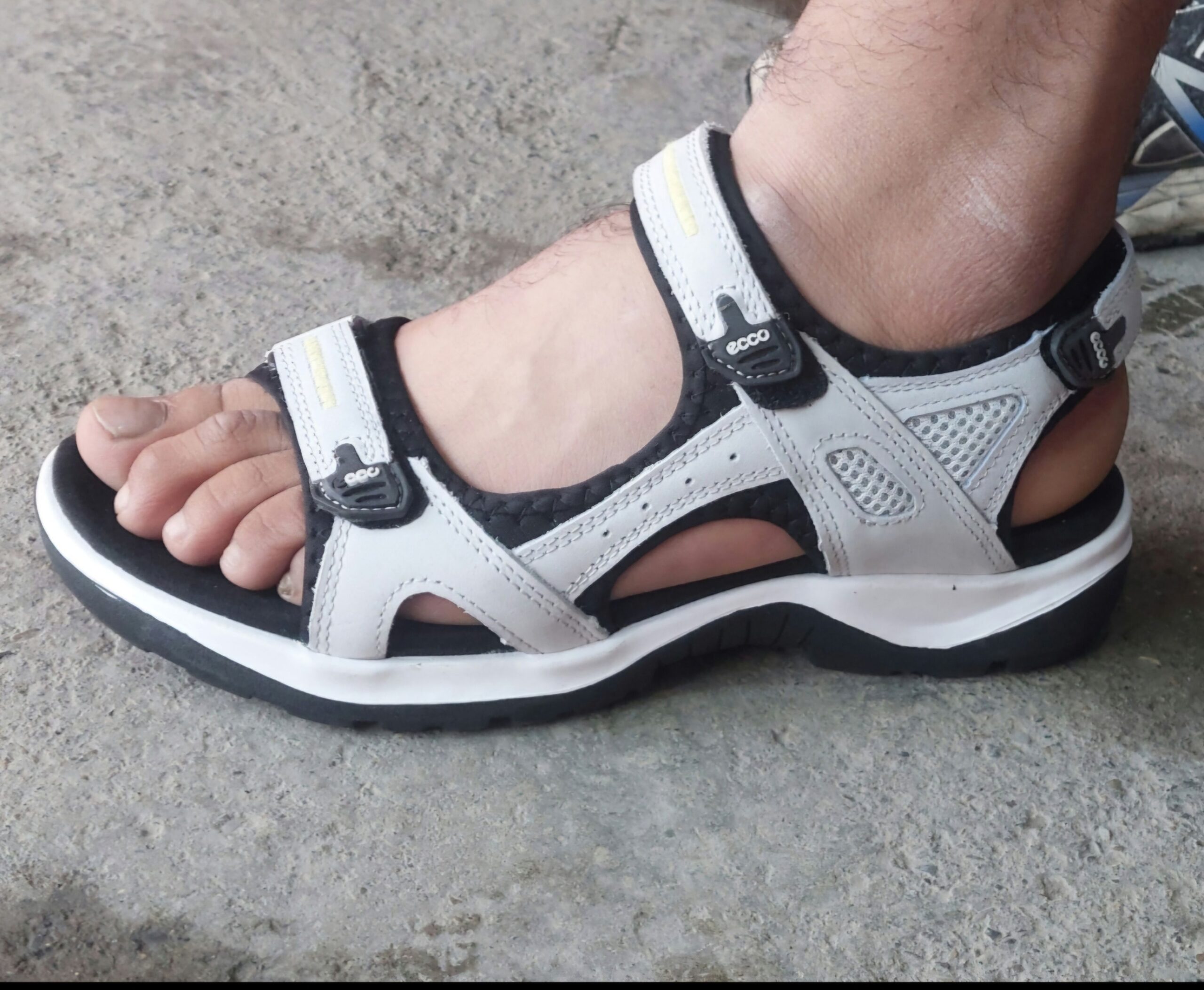 آیسکس اورجنال