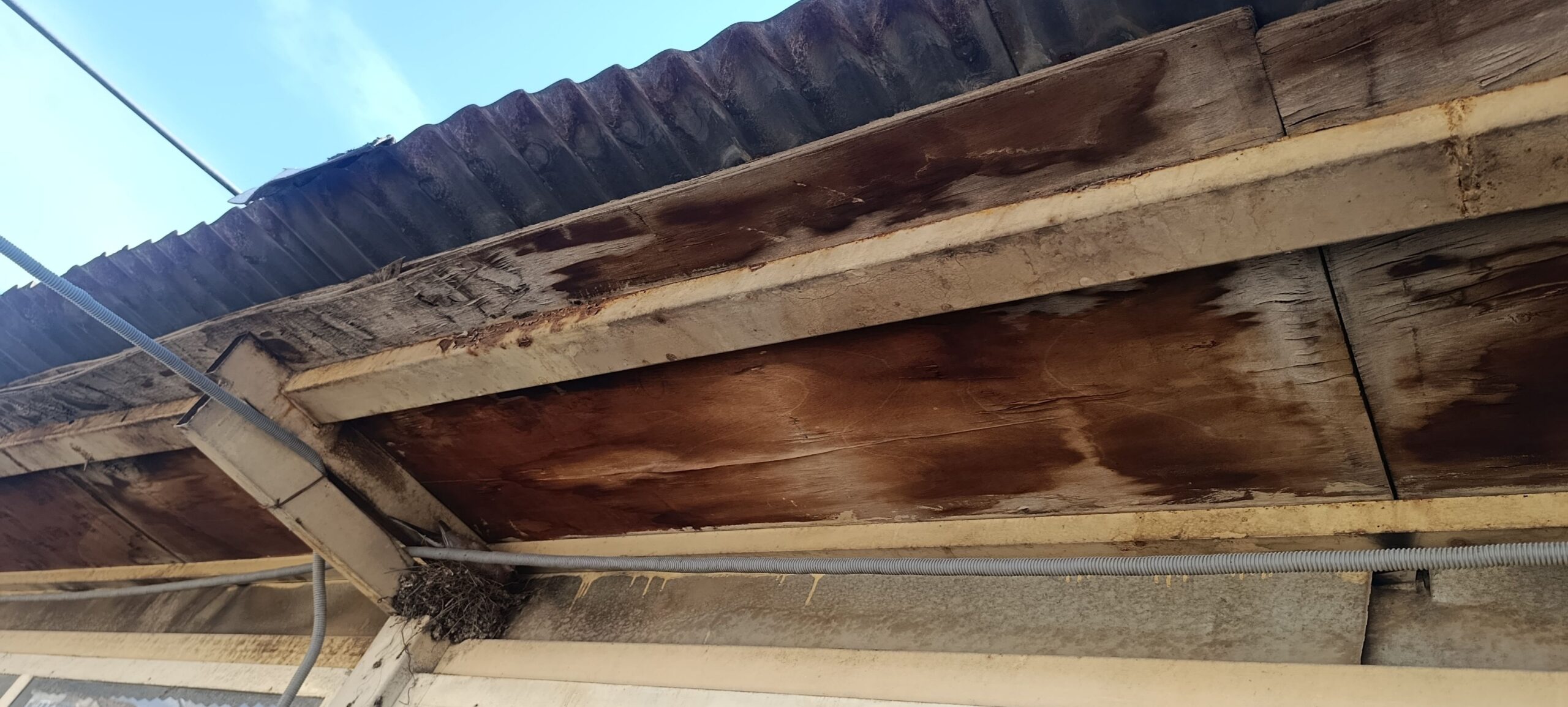 فروش لوازم مارکیت