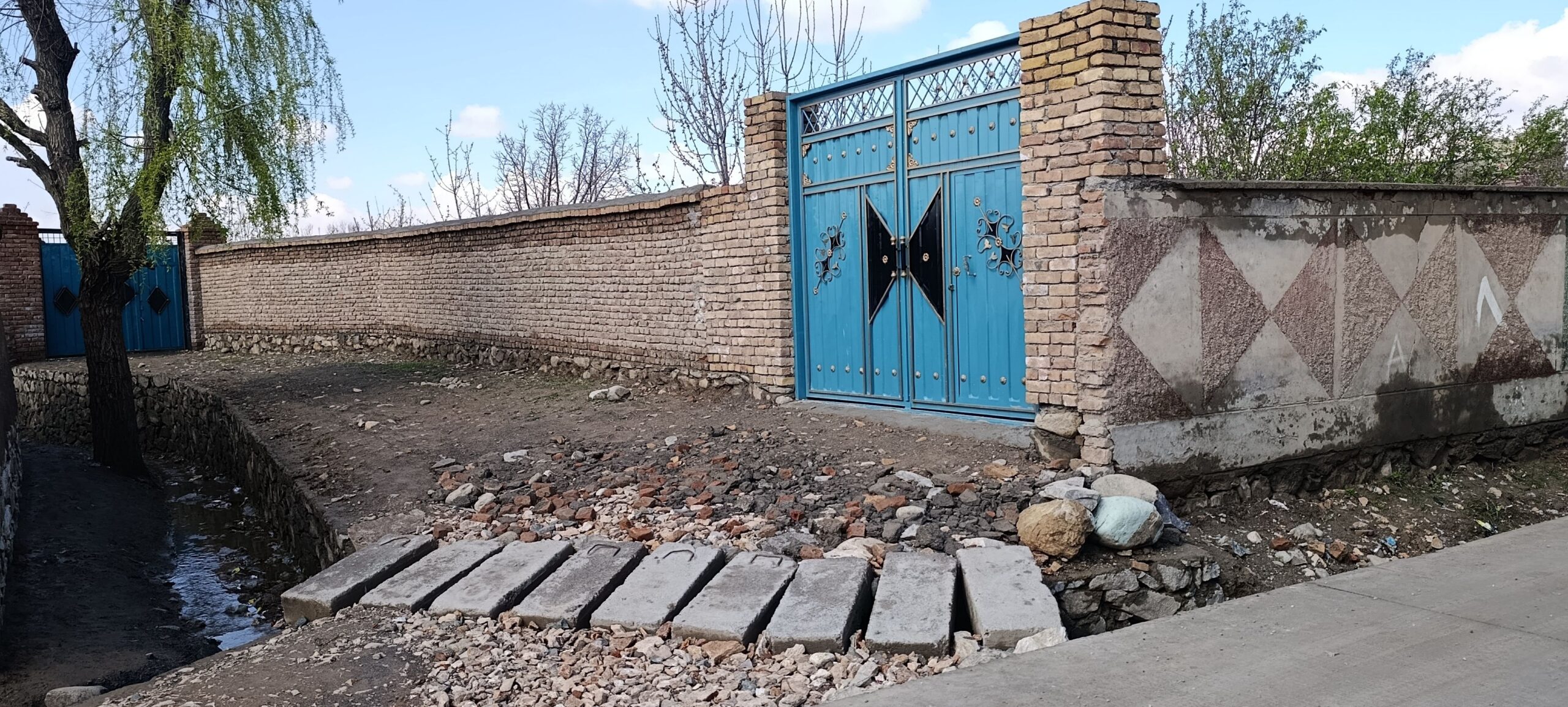 باغ کاملا رسیده فروشی