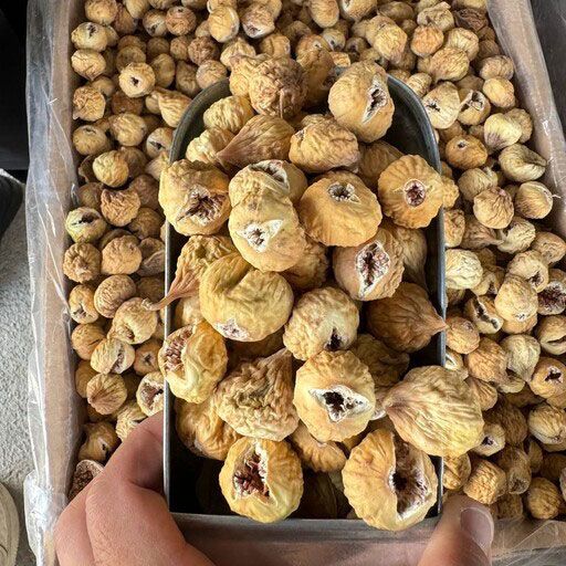 دستگاه میوه خشک کن 35 کیلویی
