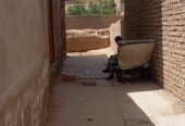سلام عرض ادب خدمات املاکی زمین حدود چهار دانگ در م