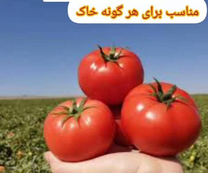 نانو کود محلول اهن ابادگران