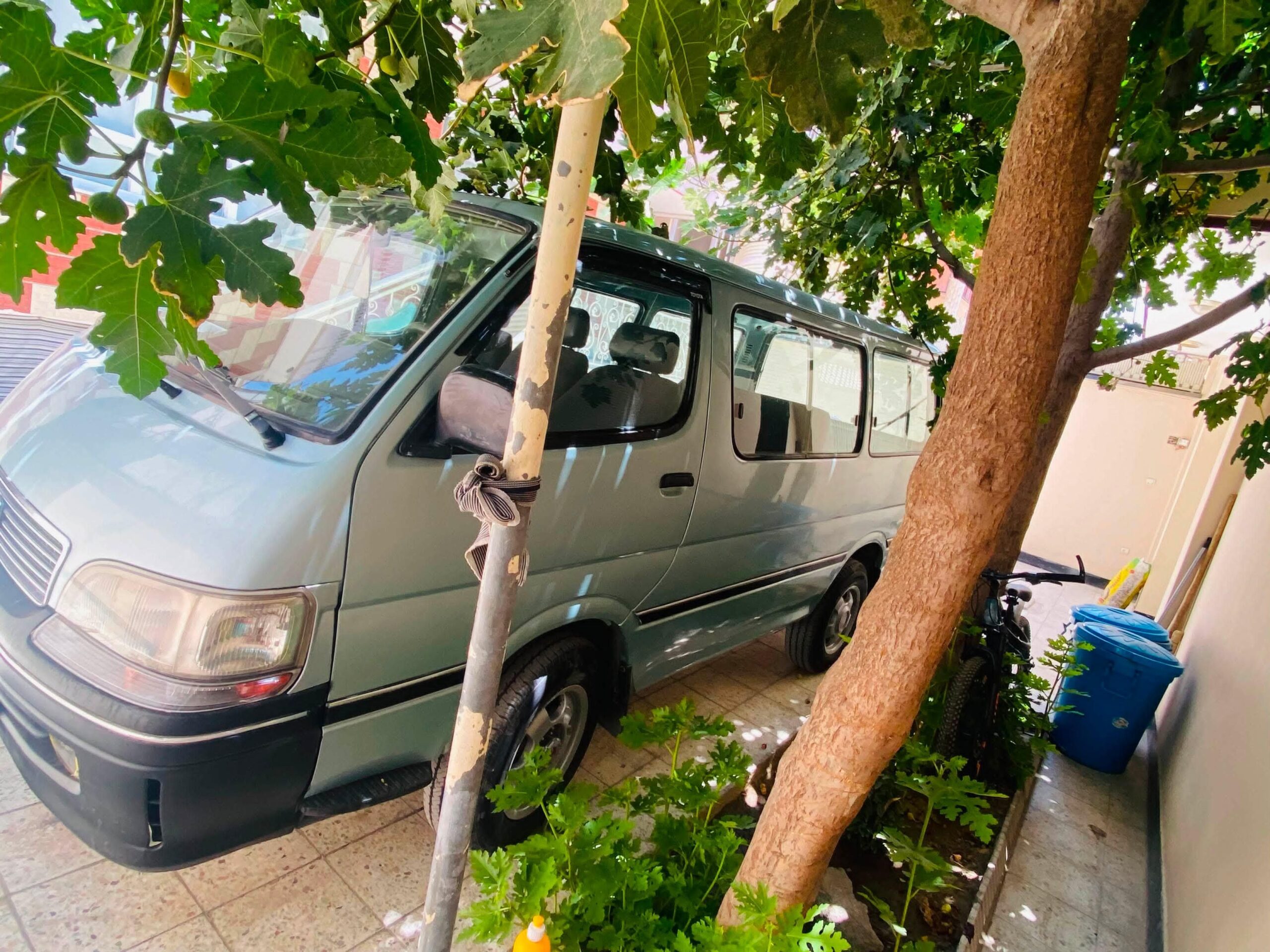 موتر فلانکوچ