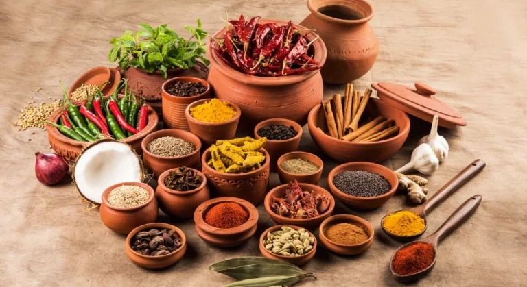 دستگاه تولید میوه خشک