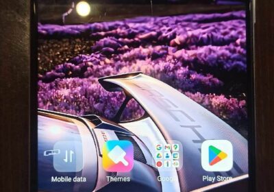 a1de5931-42e6-496f-82e3-743cd9d97469