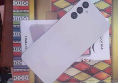 72953a5a-de2a-4869-8065-2625070e2f40