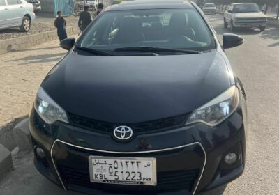 415073940_358083086970056_1950298339991491069_n