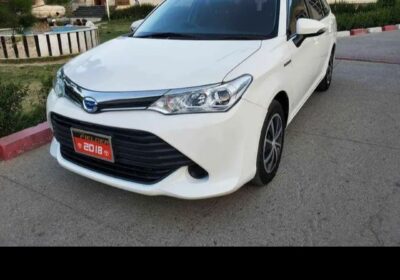 4ab3e44d-e283-4e3e-8236-45b628d0f29c